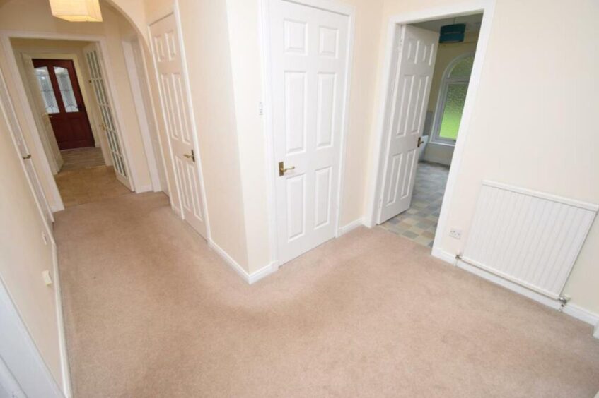 View of white hallway with light brown carpet with doors leading off.