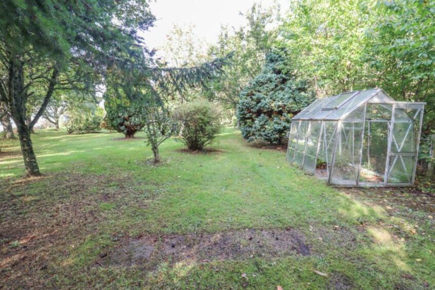 Garden area with mature trees and a green house along the boundary hedge.