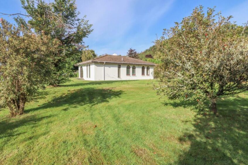 White bungalow sits amidst the trees and green with blue skies towering over the property.