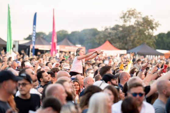 Revellers at a music festival