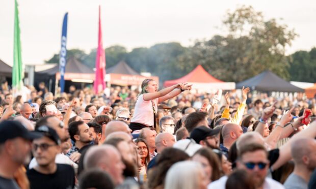 Revellers at a music festival