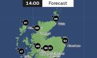 winds forecast