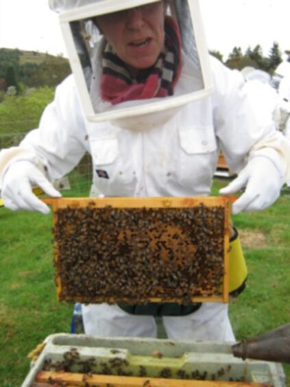 Yvonne Davidson, pictured with bees, from the Tarland Bee Group in 2015, is a recipient in the New Year's Honours list 2025. 