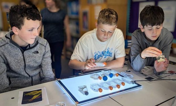 Pupils enjoying one of the hands-on science sessions in Shetland.