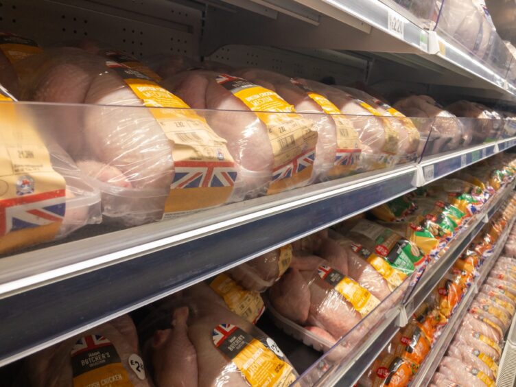 Pre-packed chickens on shelves in a supermarket. 