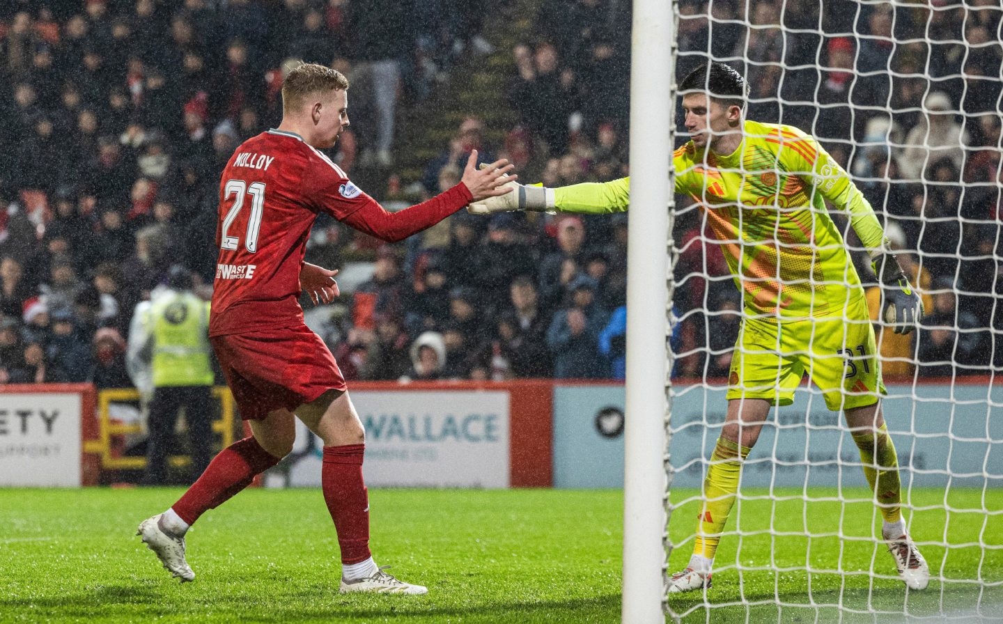 Aberdeen's Gavin Molloy shakes hands with Ross Doohan during the 1-0 loss to Celtic at Pittodrie. Image: SNS