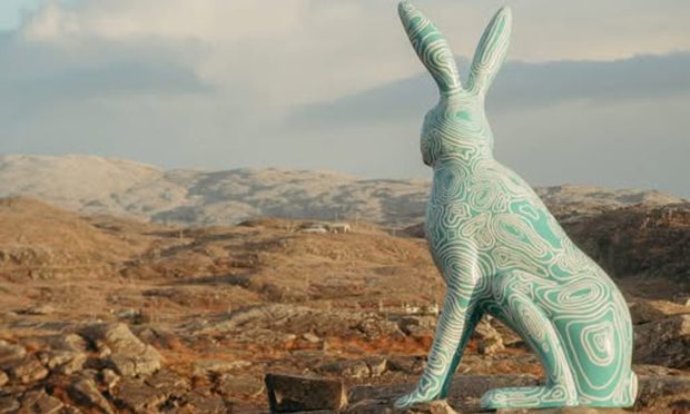 blue hare at Baile an Or in Harris