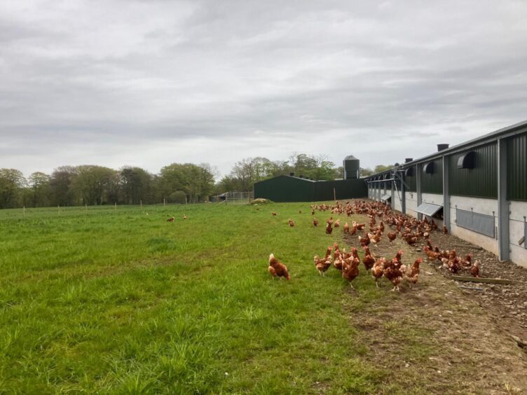 The Learmonths' farm near Ellon.