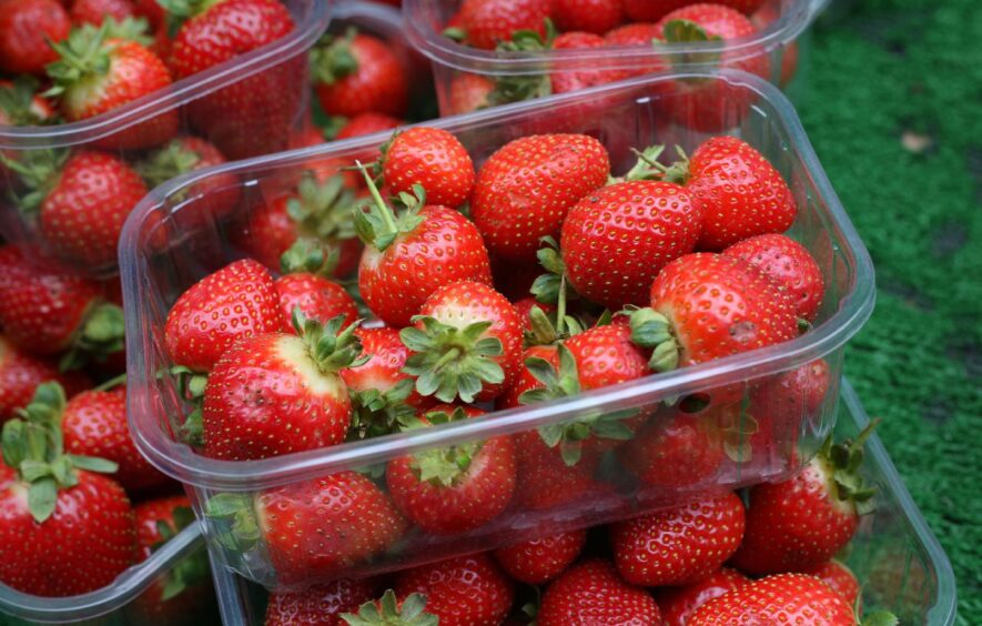 Supermarket strawberries.