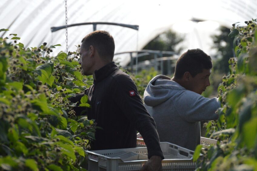 Farm workers