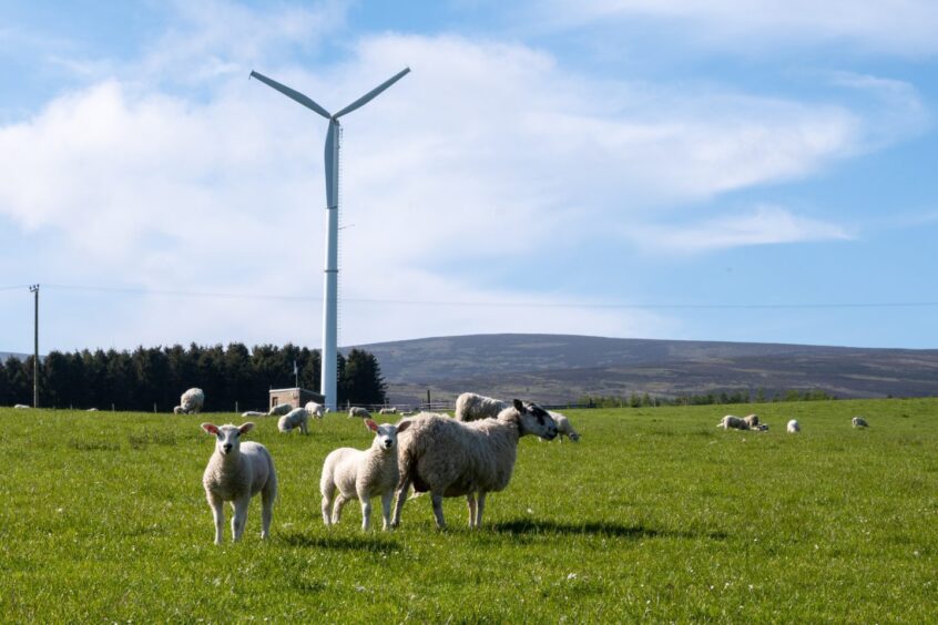 Wind turbine at Glensaugh Farm