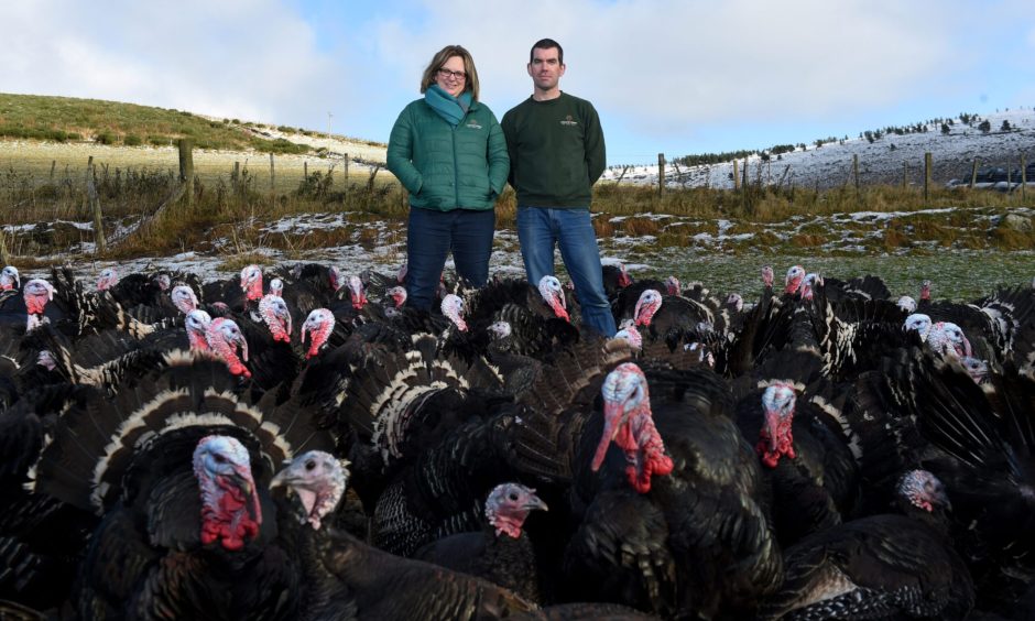 Becky Perry and Ian Stuart at Ledmacoy Turkeys