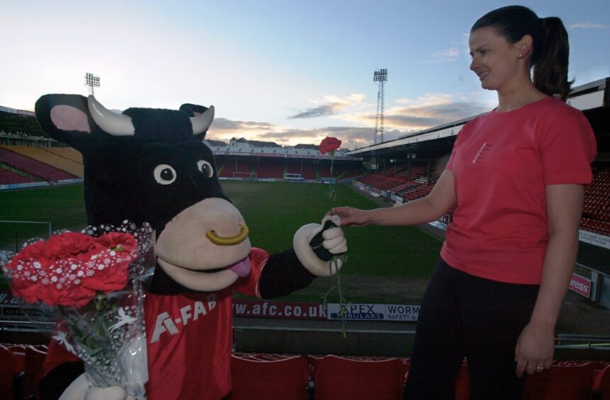 Angus the Bull, holding flowers, asks Debbie Nichols to be his Valentine at Pittodrie in 2002.