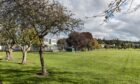 Roysvale Park