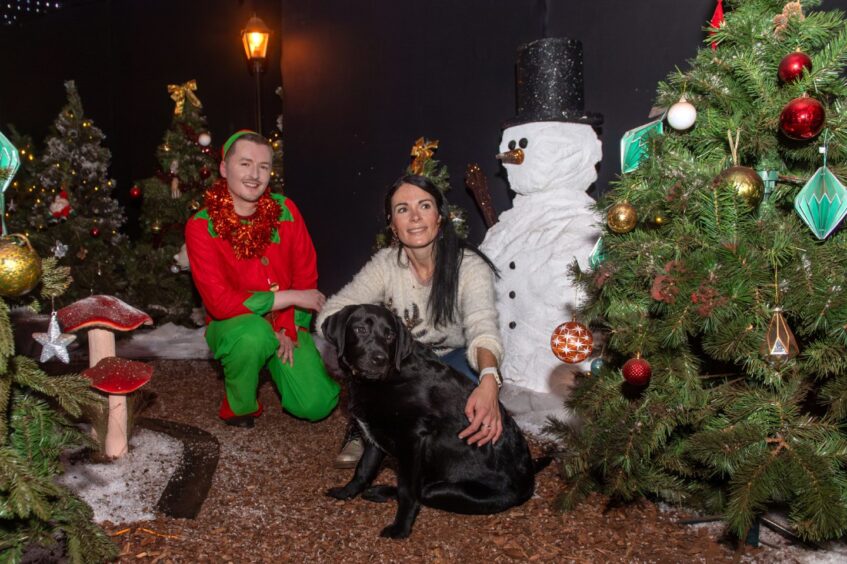 Labrador puppy Dante meets a snowman. Image: Kath Flannery/DC Thomson.