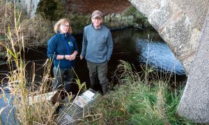 Jan Simpson, invasive species officer, and volunteer Neil Watson monitor watercourses in Aberdeenshire for American mink. Image: Kami Thomson / DC Thomson