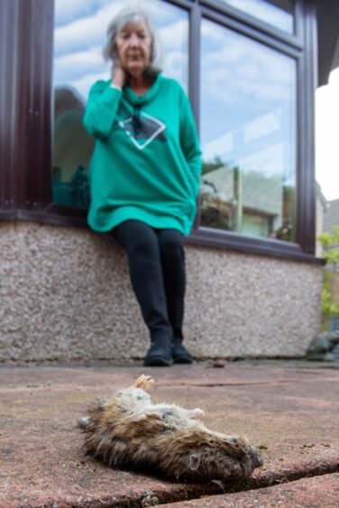 Nikki Duffus and dead rat.