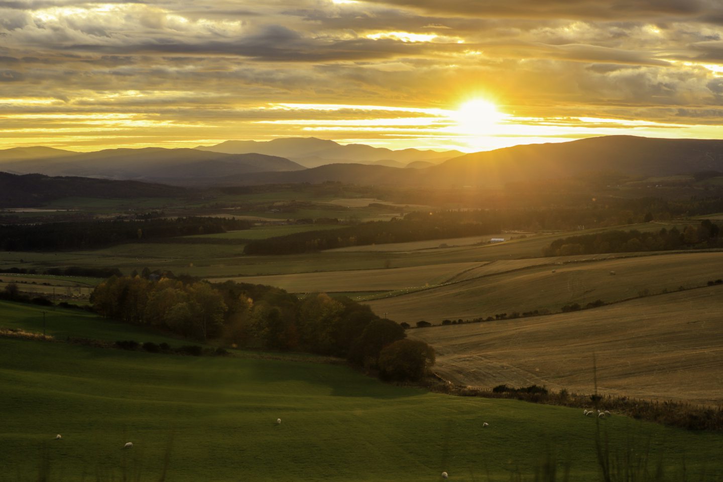 A photo taken at sunrise by Torin Liversedge.