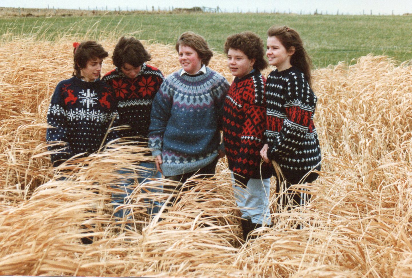 A group of children modelling patterned sweaters in a corn field on Sanday.