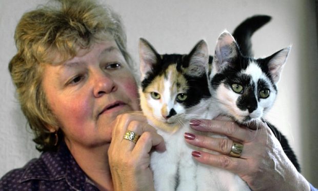 Janet Rogers, from Huntly, Keith and Turriff Cats Protection has been recognised by the King. Image: Bobby Nelson