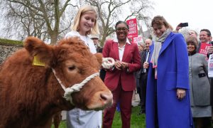 Conservative Party MPs with their petition calling on the UK Government to stop the "family farm tax".