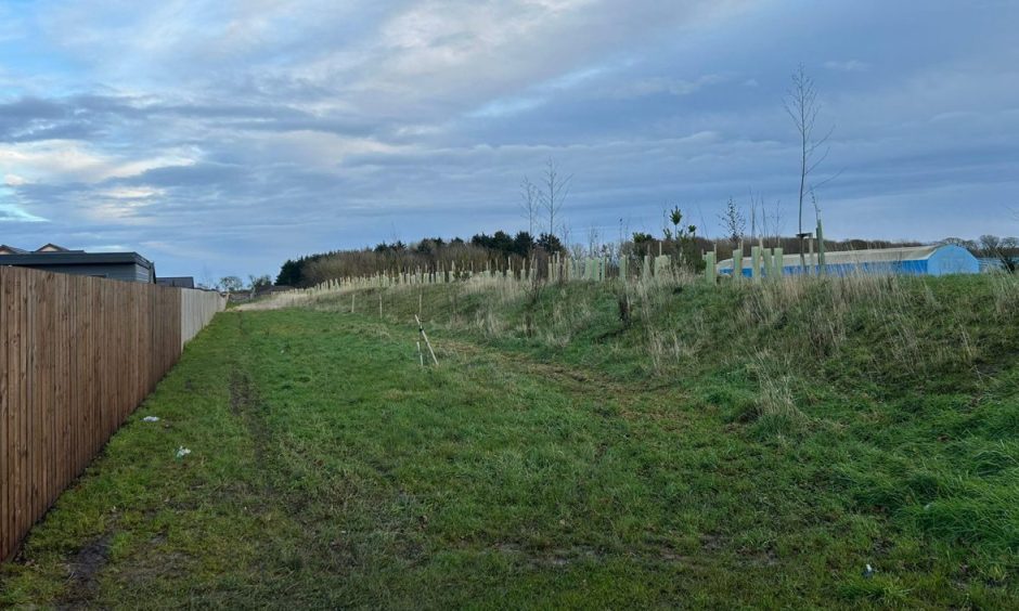 700 trees have been planted on the land separating the homes from the industrial estate. Image: Isaac Buchan/ DC Thomson