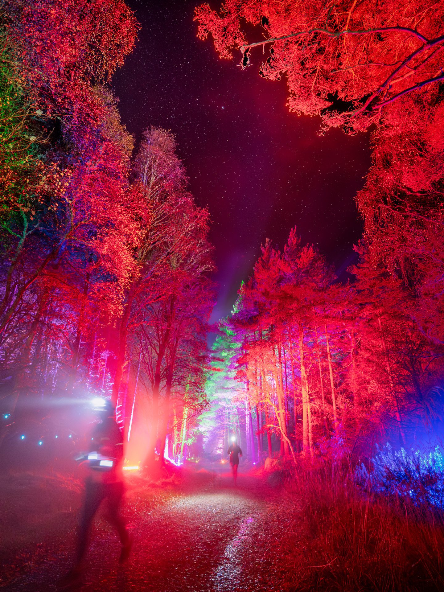 runners with headlights on make their way through a forest at night, which is lit up by different-coloured spotlights