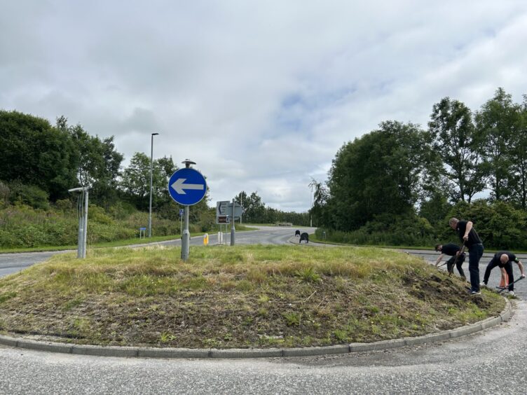 An overgrown roundabout 