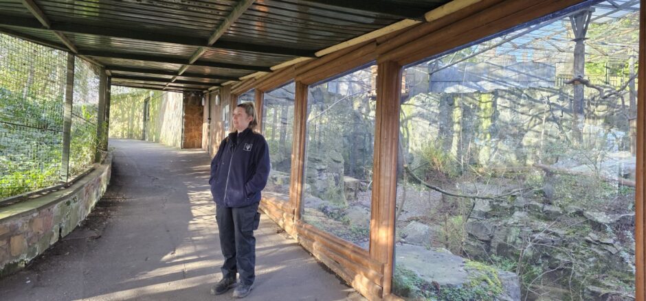 Kirsty MacFaul, senior for birds, primates and kolas outside Honshu's enclosure at Edinburgh Zoo.