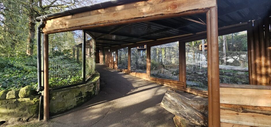 Wooden canopy overhead of enclosure with glass windows at Edinburgh Zoo