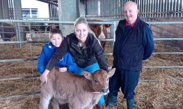 Becca Jenkins holds the Romagnola cross bull calf, helped by her nephew, Lewis, with cattle breeding expert Willie Mackay looking on