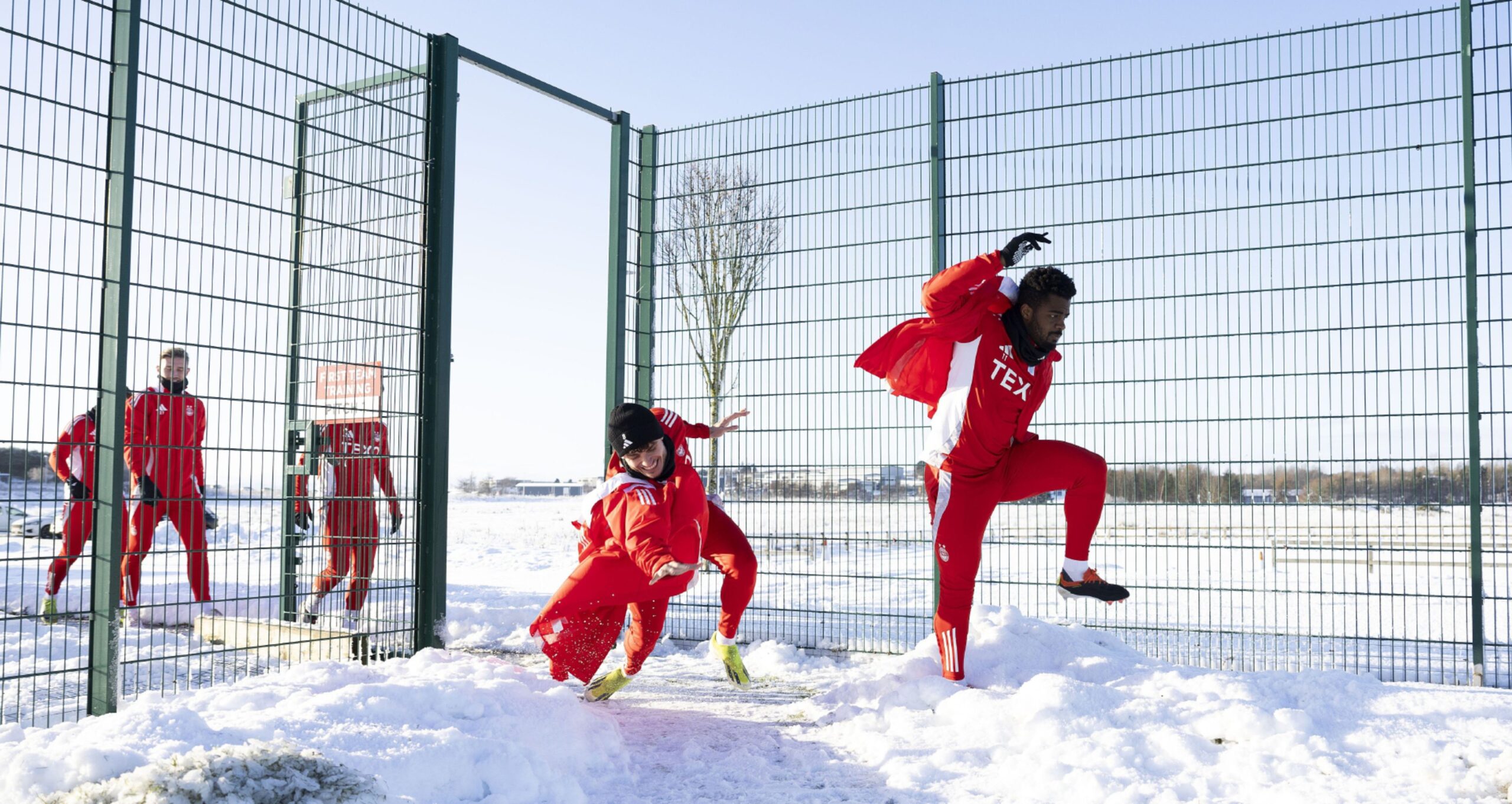  Dante Polvara and Duk during an Aberdeen training session at Cormack Park. Image: SNS 