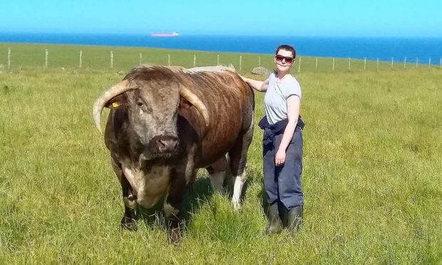 Alice Lennox with an English Longhorn.