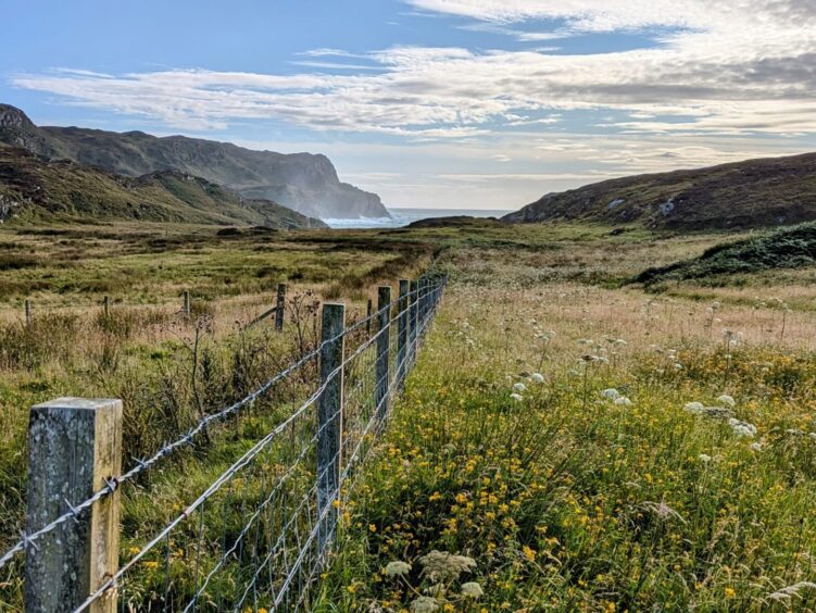 Ben Sgoiltaire field boundary