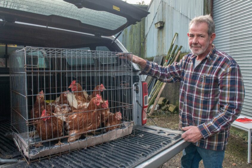 Harvey Gillanders gets ready to leave one of the adopt-a-hen event swith some birds