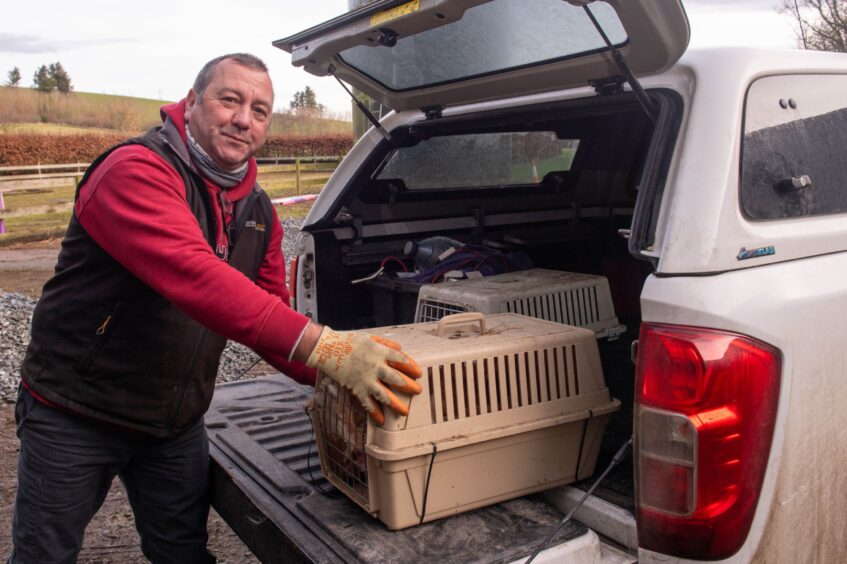 Martin Greenhough puts his new hens in the car to take home