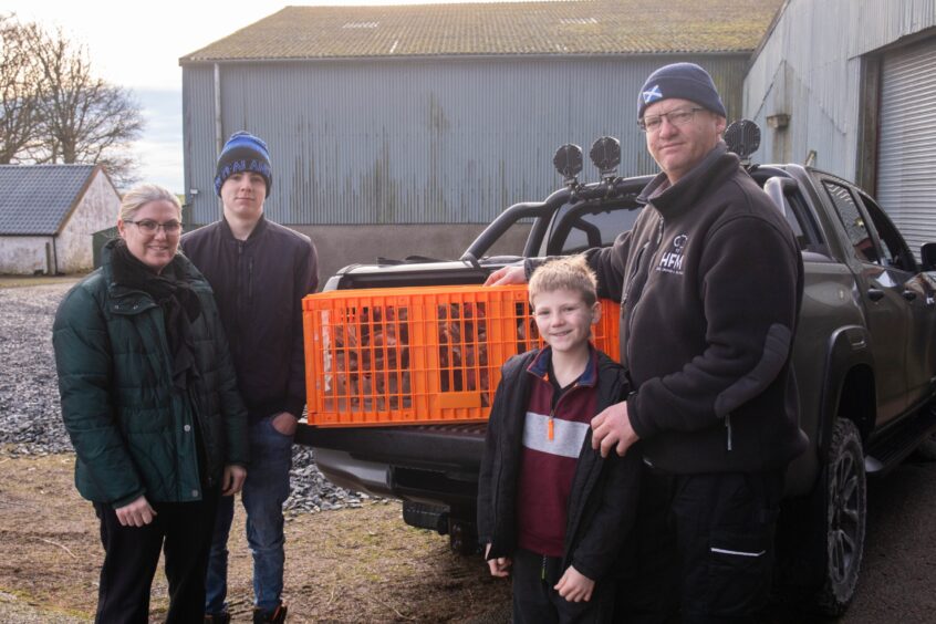 The Killingback family collecting their hens at Meikle Wartle.