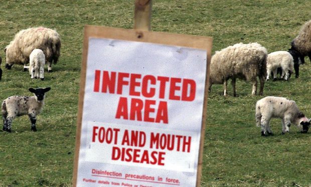 Foot-and-mouth disease warnings