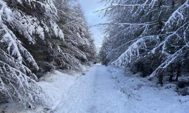 A snowy path leading to Daviot Wood. Image: Stuart Findlay/DC Thomson