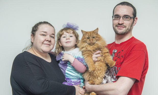 Craig, Steph and their daughter Emily welcomed 'bundle of fur' Bingo into their family in June. Image: Jason Hedges/DC Thomson.