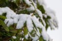 Snow melt is likely to cause some flooding across the north and north-east. Image: Kenny Elrick/DC Thomson