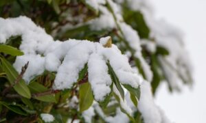 Snow melt is likely to cause some flooding across the north and north-east. Image: Kenny Elrick/DC Thomson