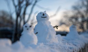 Schools have been closed across the north and north-east due to snowy conditions. Image: Kath Flannery/DC Thomson