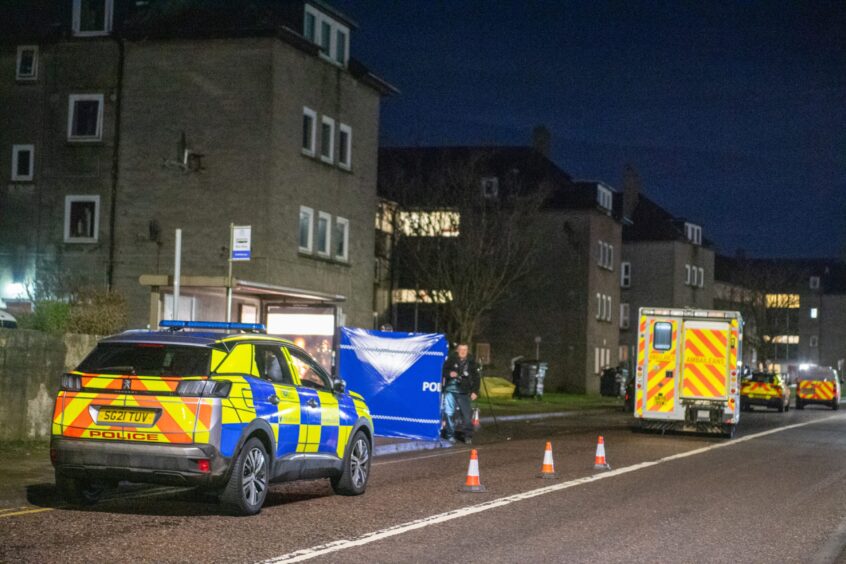 several police vehicles at the scene