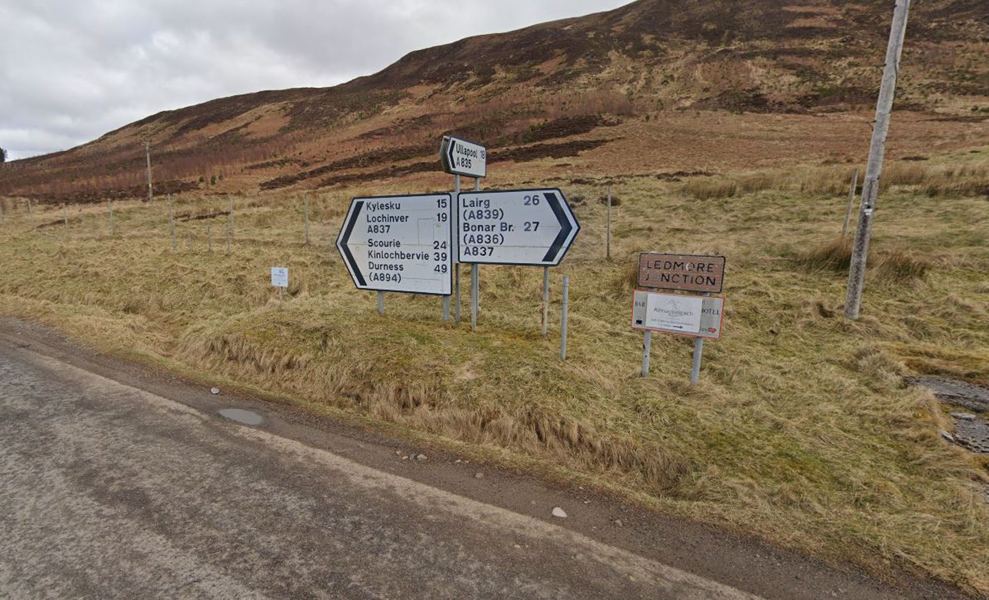 People often take photos of them next to the road sign.