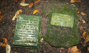 Pet graves are a lesser known feature of the Ness Islands in Inverness. Image  Jasperimage