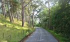 Trees line the B9090 south of Nairn.