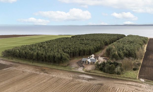 The house is surrounded by woodland overlooking the Dornoch Firth. Image: Galbraith.