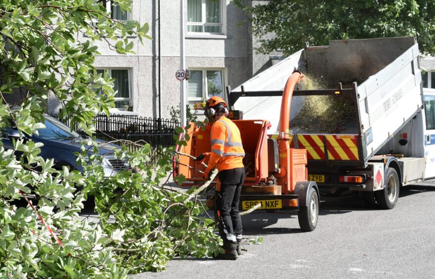 Council workers deal with a fallen tree. Image: Darrell Benns/DC Thomson