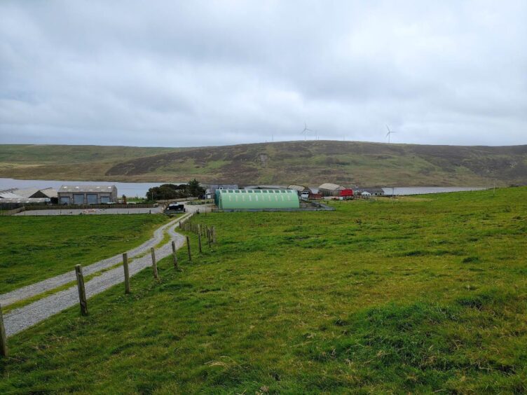 View from the turbine site looking south-east towards the applicant's property